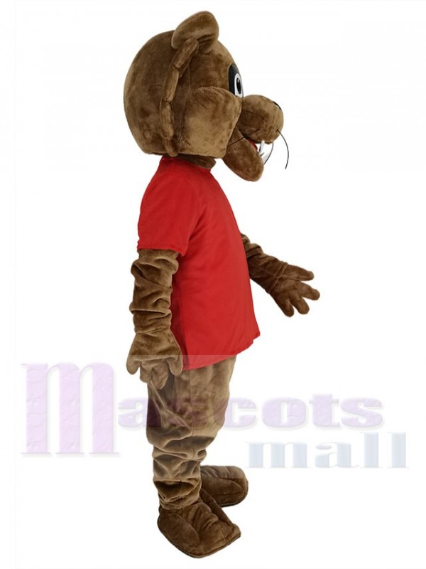 Cougar mascot costume