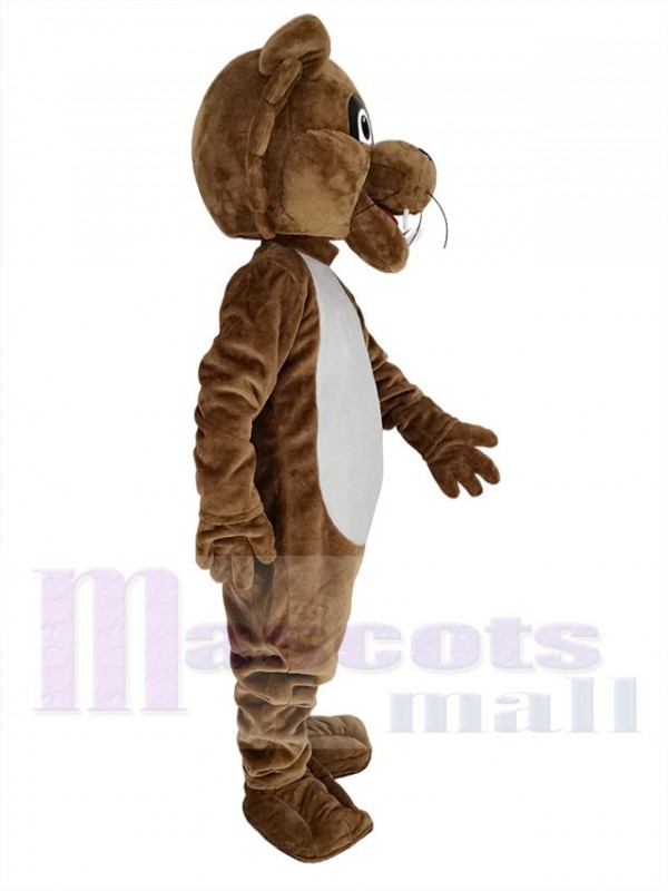 Cougar mascot costume