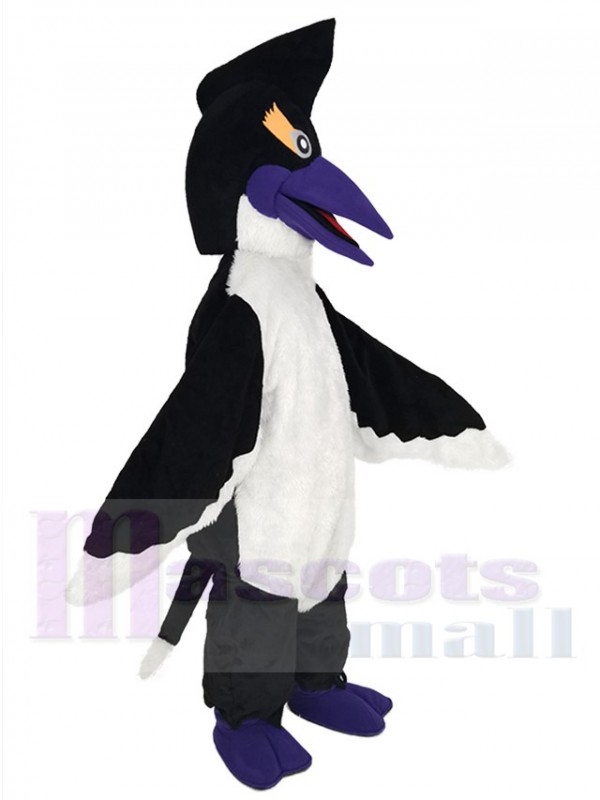 Woodpecker Bird mascot costume