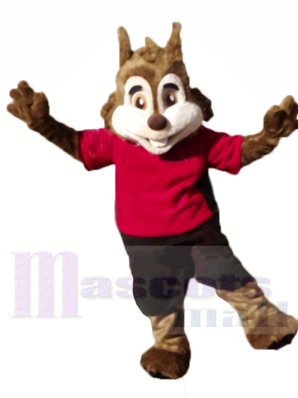 Cute Sport Squirrel Mascot Costumes 
