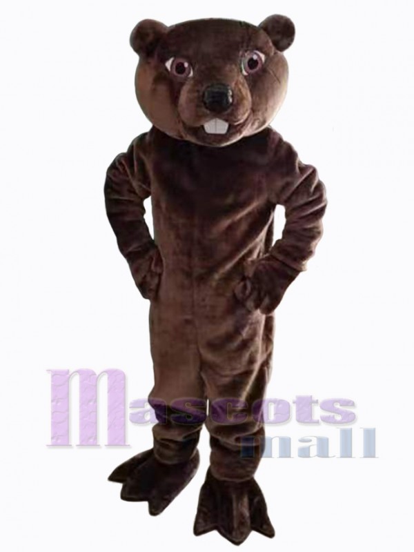 Beaver mascot costume