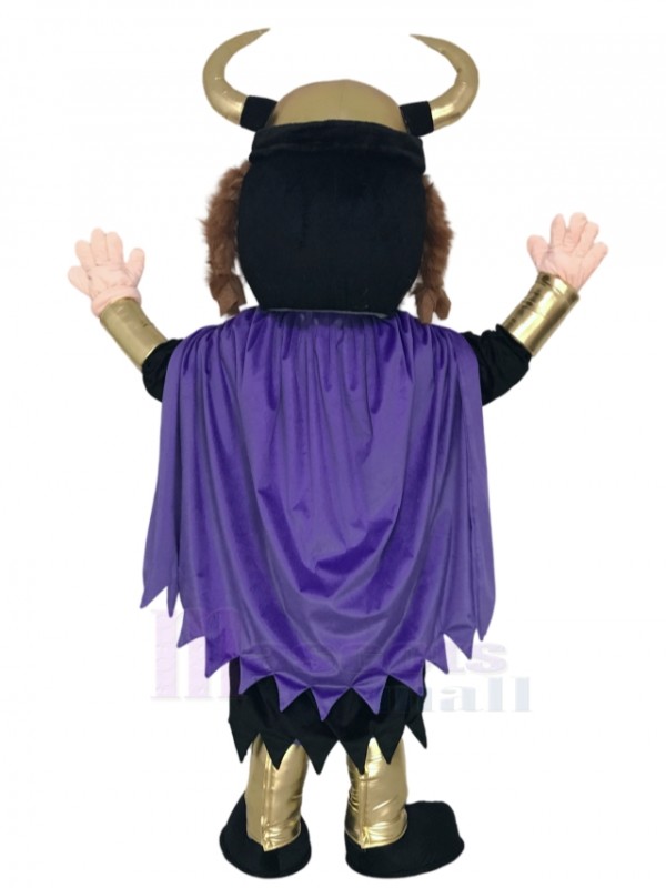 Viking Mascot Costume