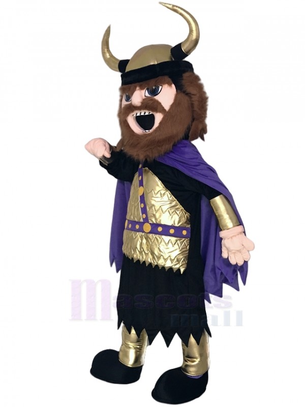 Viking Mascot Costume