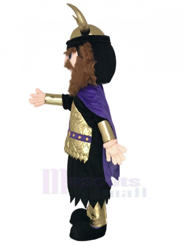 Viking Mascot Costume