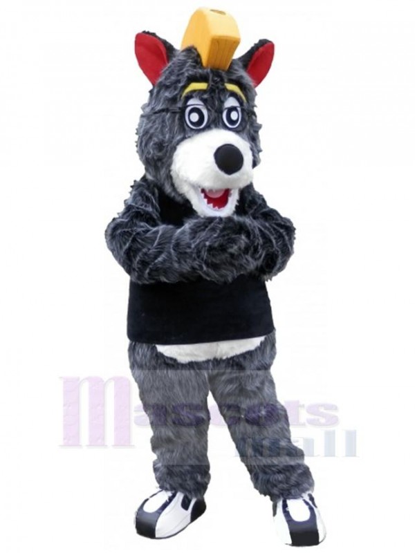 Bear mascot costume