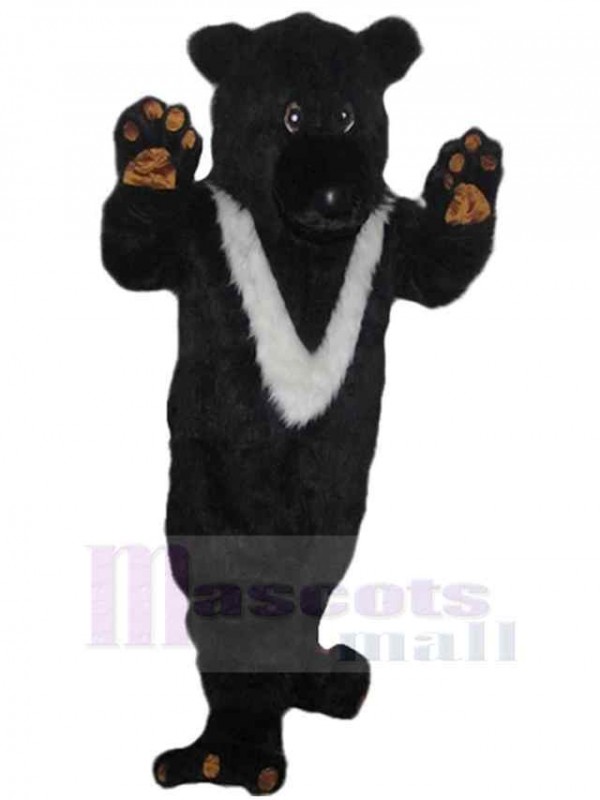 Bear mascot costume
