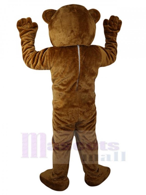 Bear mascot costume