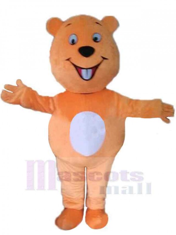 Bear mascot costume
