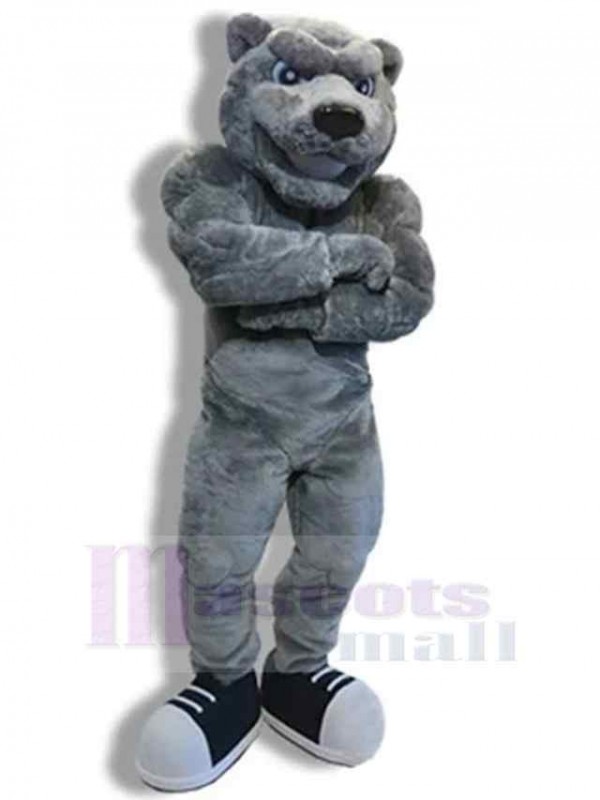 Bear mascot costume