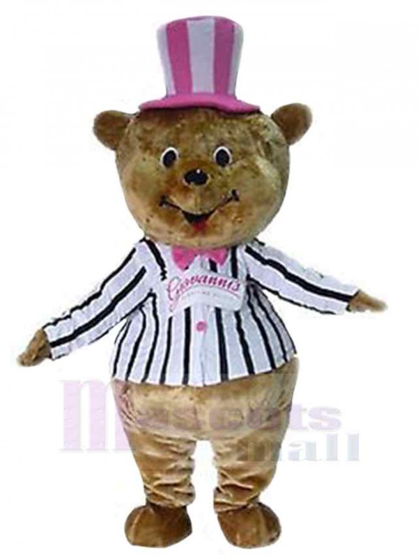 Bear mascot costume
