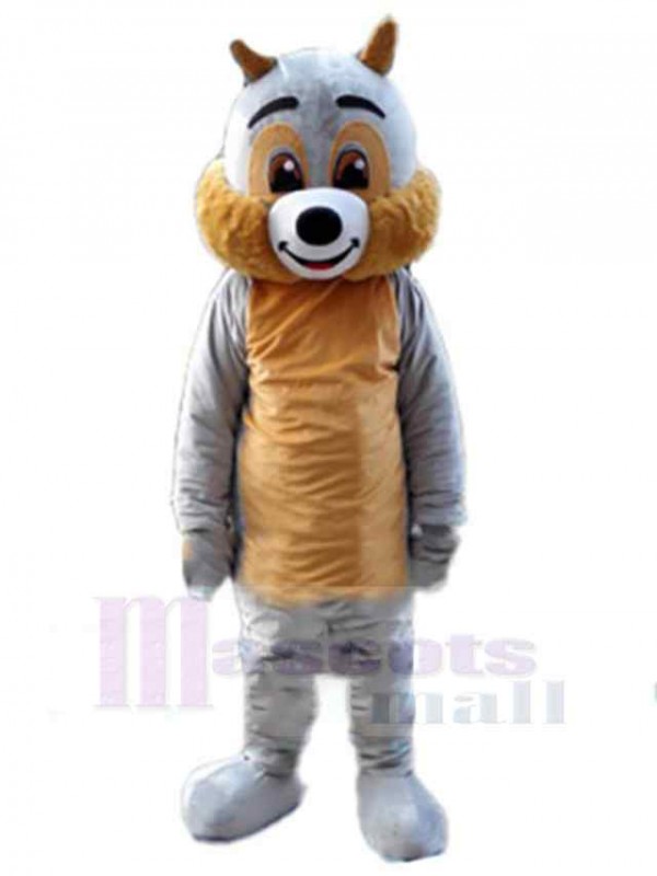 Squirrel mascot costume