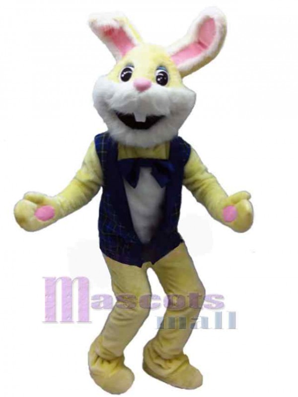 Easter Bunny Rabbit mascot costume