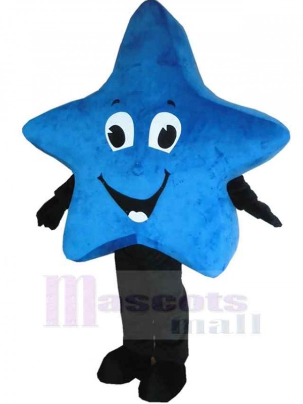Star mascot costume