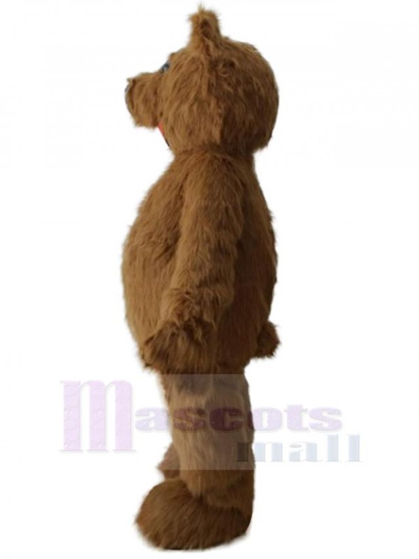 Bear mascot costume