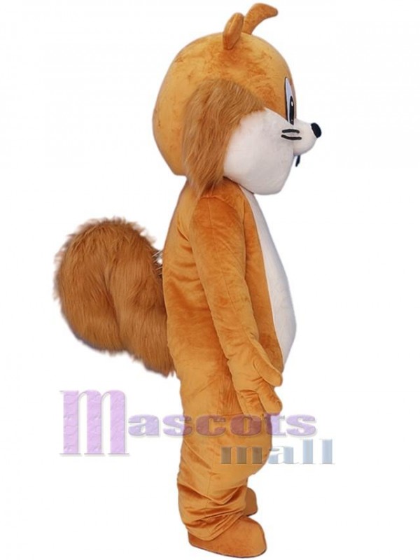 Chipmunk mascot costume