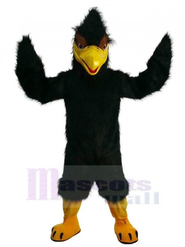 Eagle Hawk mascot costume