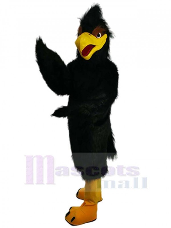 Eagle Hawk mascot costume