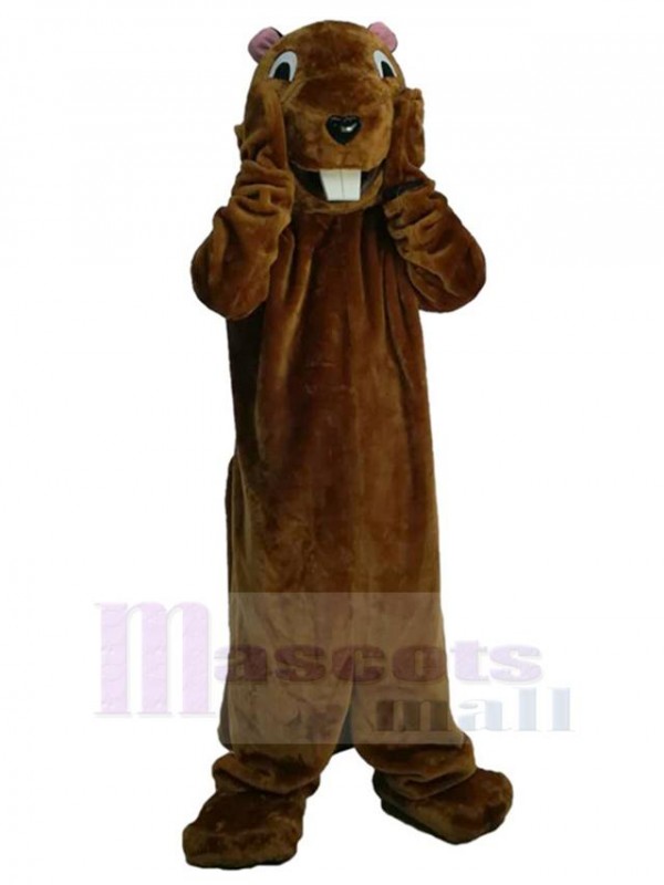 Groundhog mascot costume