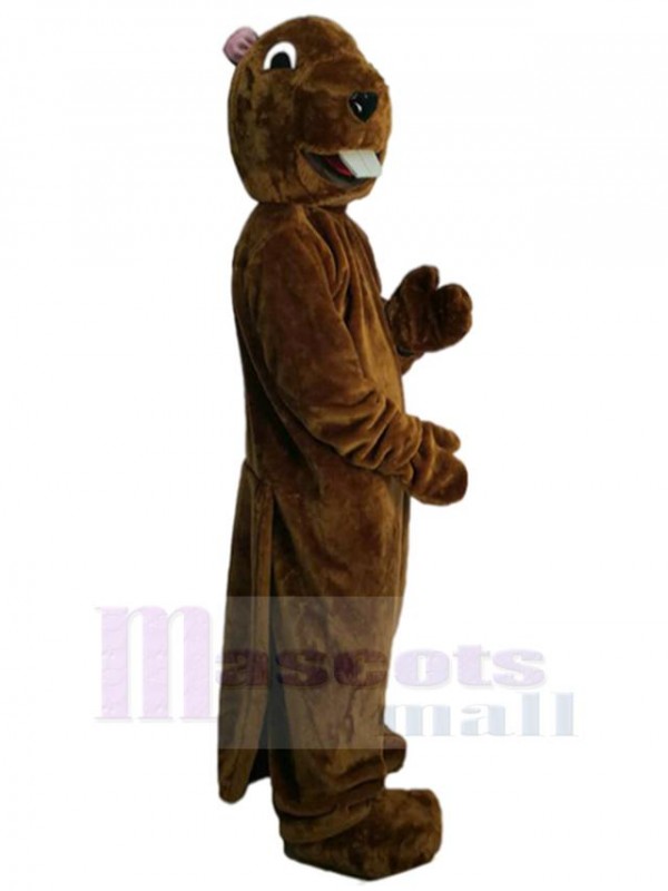 Groundhog mascot costume