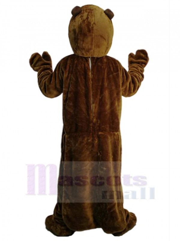 Groundhog mascot costume