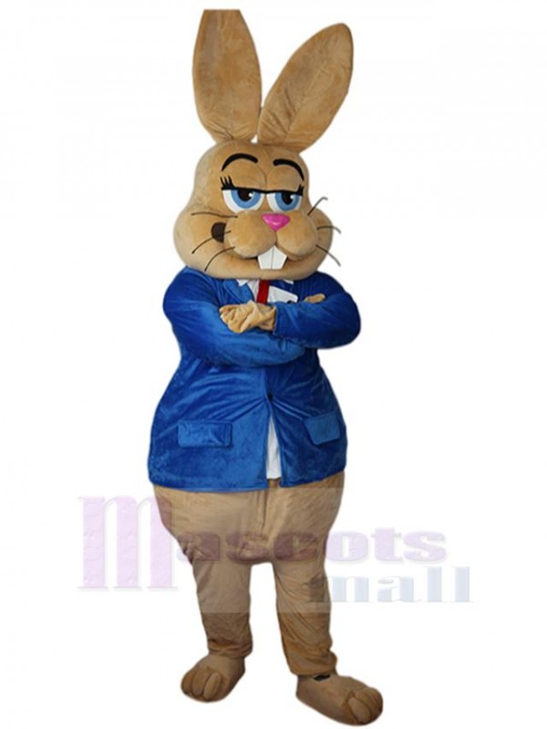 Bunny mascot costume