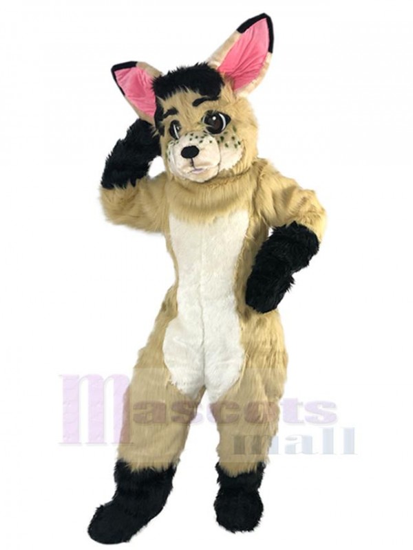 Rabbit mascot costume