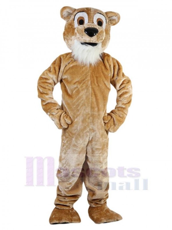 Lion mascot costume