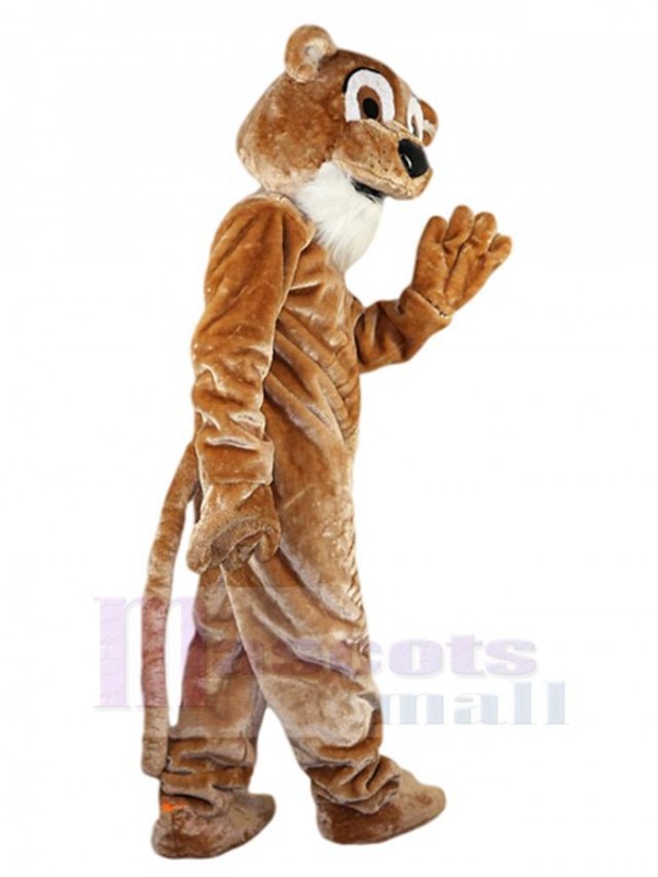 Lion mascot costume