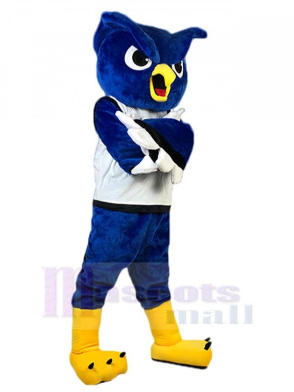 Owl mascot costume