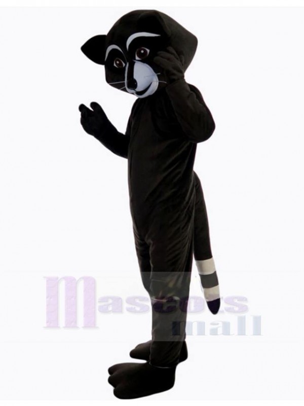 Raccoon mascot costume