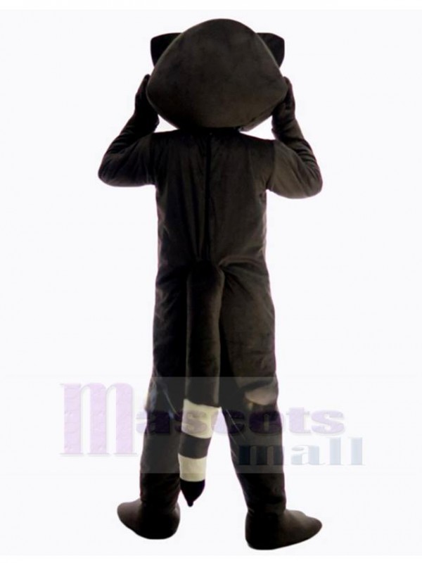 Raccoon mascot costume