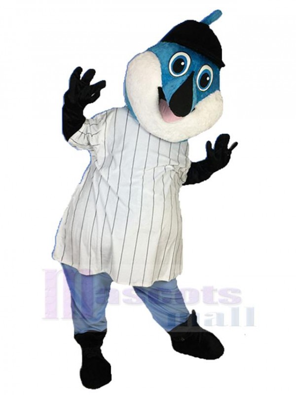 Dolphin mascot costume