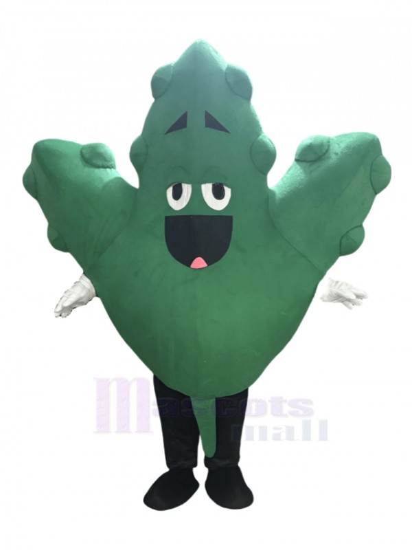 Leaf mascot costume