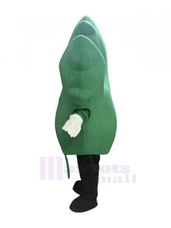 Leaf mascot costume