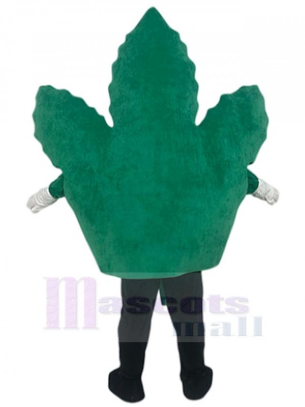 Leaf mascot costume