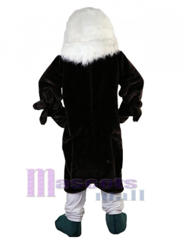 Eagle mascot costume
