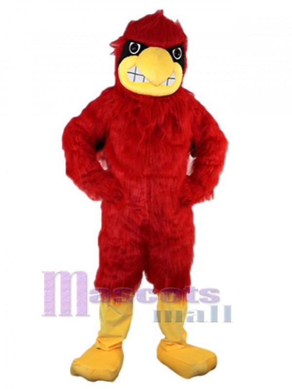 Eagle mascot costume
