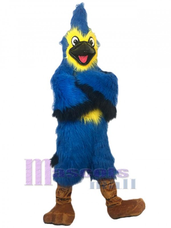 Eagle mascot costume