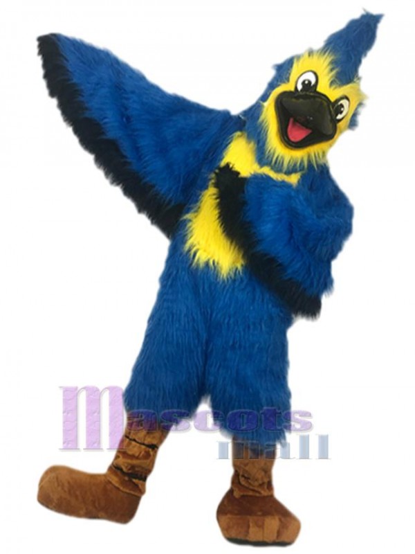 Eagle mascot costume