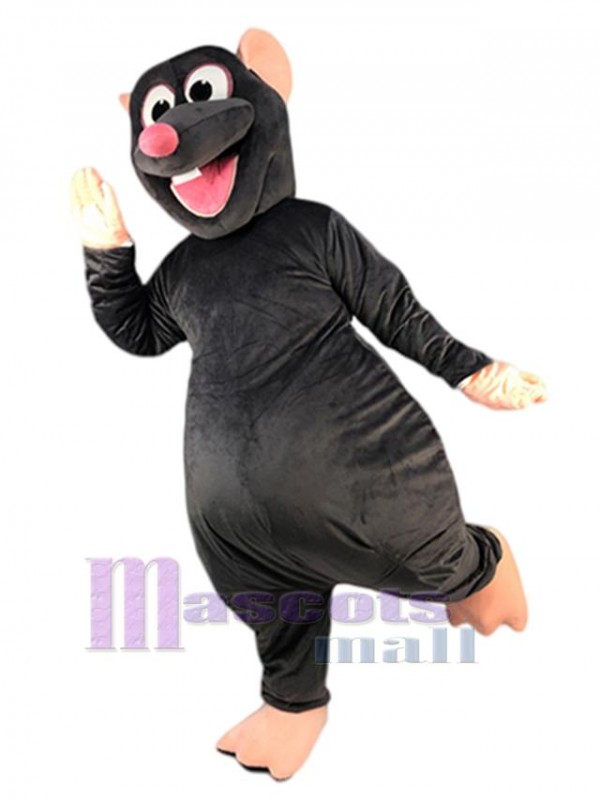 Rat Mouse mascot costume