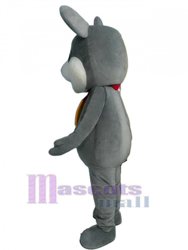 Rat Mouse mascot costume
