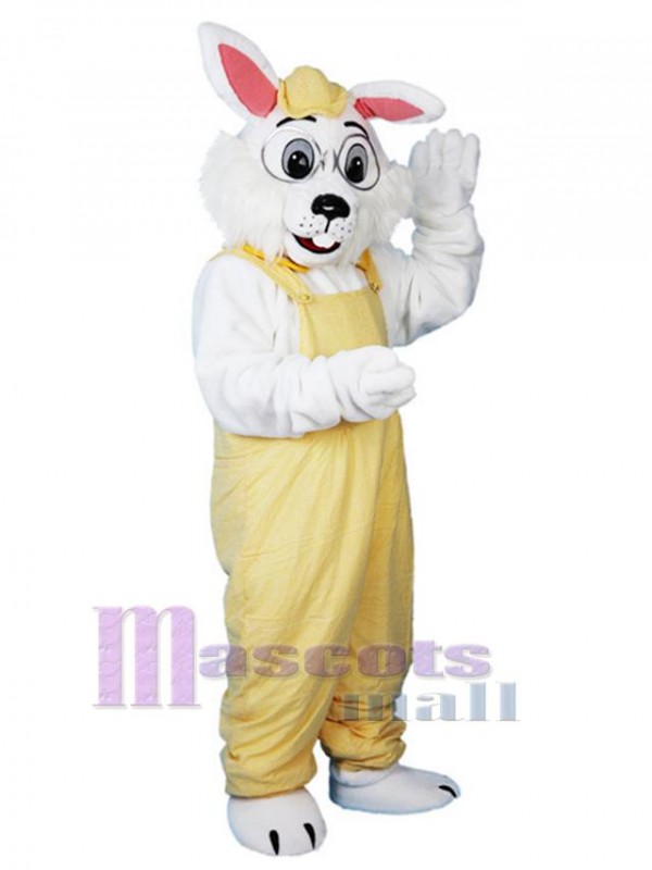 Bunny mascot costume