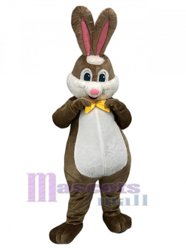 Rabbit mascot costume