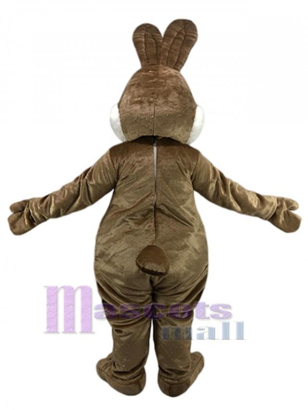 Rabbit mascot costume