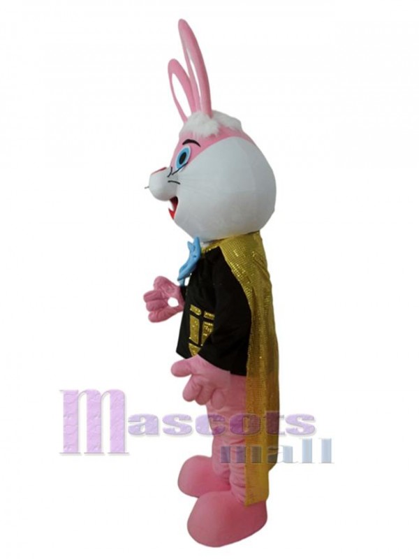 Rabbit mascot costume