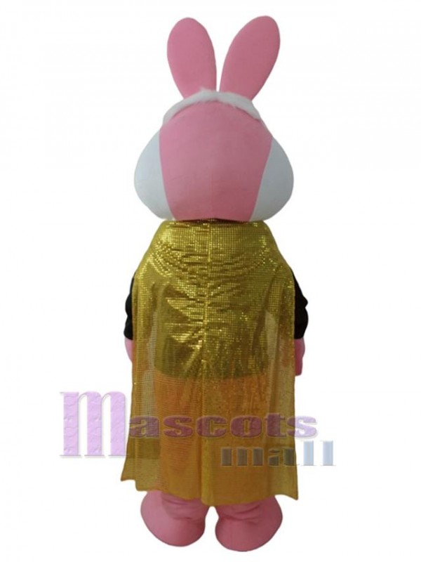 Rabbit mascot costume