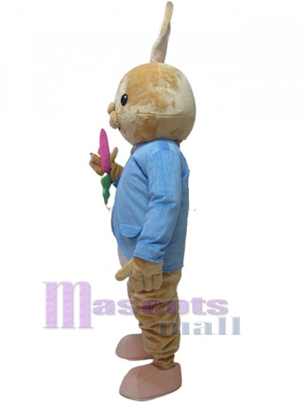 Rabbit mascot costume