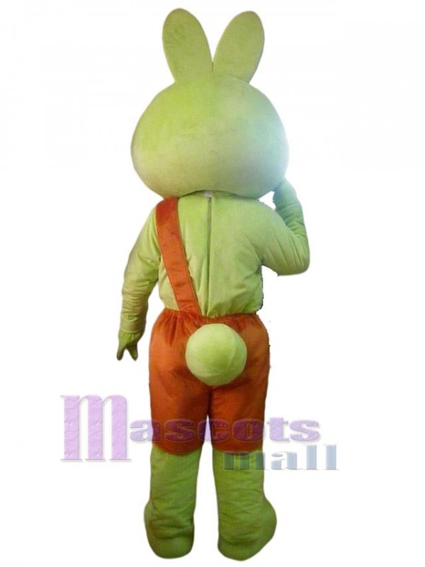 Rabbit mascot costume