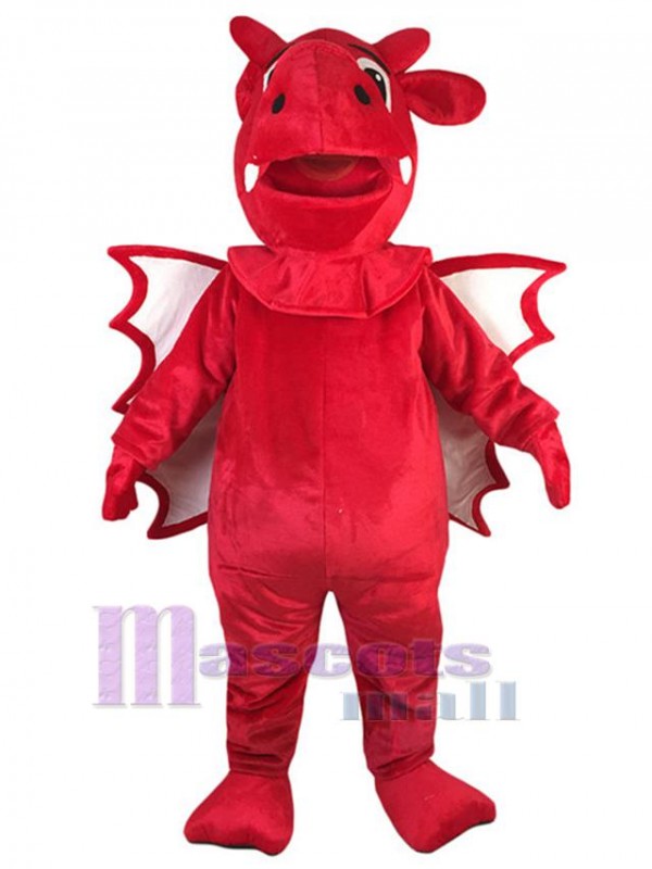 Dragon mascot costume