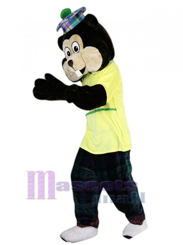 Gopher mascot costume